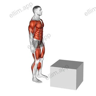 1 to 2 Jump Box exercise targeting Plyometrics