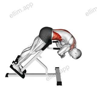 45 degrees Back Extension Scapular Adduction exercise targeting Back