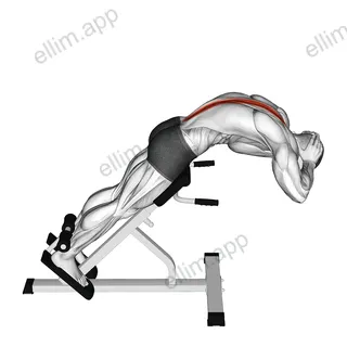 45 degrees Back Extension exercise targeting Hips and Erector Spinae
