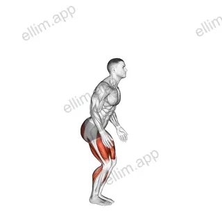 Alternate High Hop exercise targeting Plyometrics