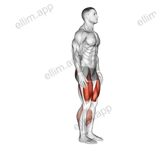 Alternate Sprinter Lunge exercise targeting Gluteus Maximus and Quadriceps