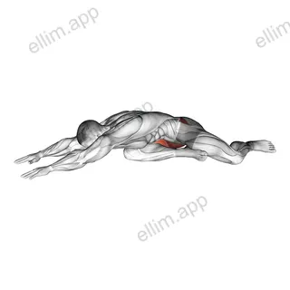 Animal Resting Yoga Pose exercise targeting Stretching
