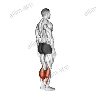 Ankle - Plantar Flexion exercise targeting Calves
