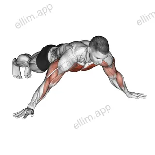 Archer Push-up exercise targeting Chest