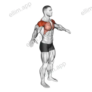 Arm Circles exercise targeting Shoulders and Deltoid Anterior