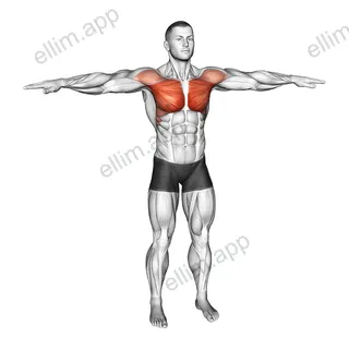 Arm Crossover exercise targeting Chest and Pectoralis Major Clavicular Head