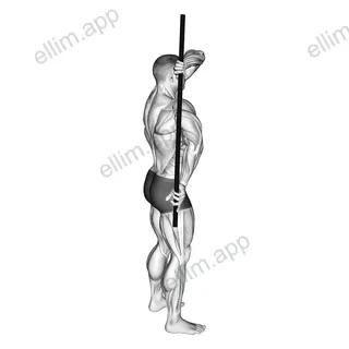 Arm Down Rotator Stretch exercise targeting Shoulders
