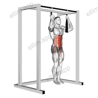Arm slingers Hanging Bent Knee Legs exercise targeting Waist and Rectus Abdominis
