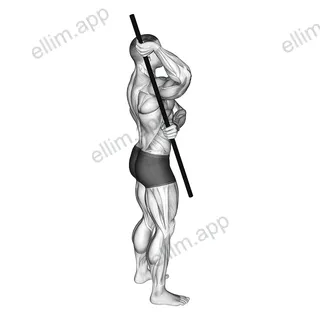 Arm Up Rotator Stretch exercise targeting Shoulders