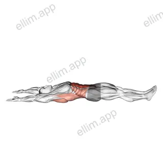 Arms Overhead Full Sit-up exercise targeting Erector Spinae and Iliopsoas