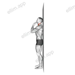 Assisted Chin Tuck exercise targeting Neck