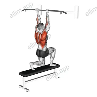 Assisted Chin up (low bar position) exercise targeting Back