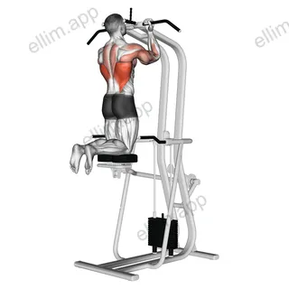 Assisted Close grip Underhand Chin up exercise targeting Back