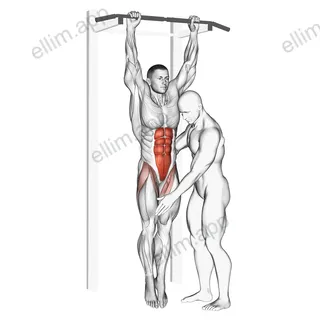 Assisted Hanging Knee Raise exercise targeting Waist and Rectus Abdominis