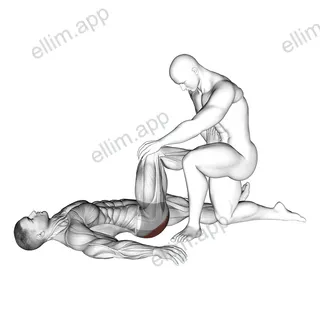 Assisted Lying Gluteus Maximus Stretch exercise targeting Hips