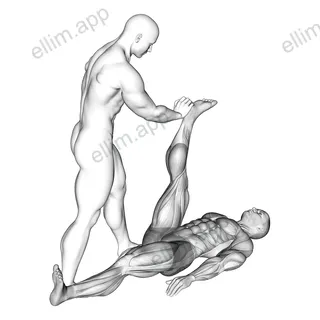 Assisted Lying Hamstring Stretch exercise targeting Thighs