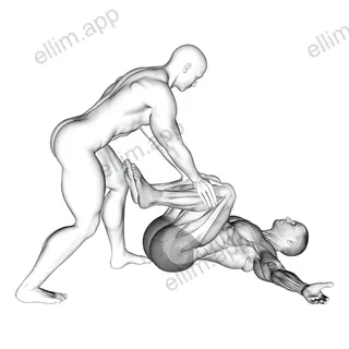Assisted Lying Hip Stretch In Supine Position exercise targeting Hips