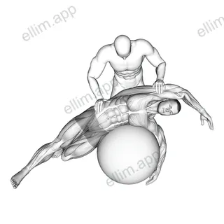 Assisted Oblique And Latissimus Dorsi Stretch On Stability Ball exercise targeting Back