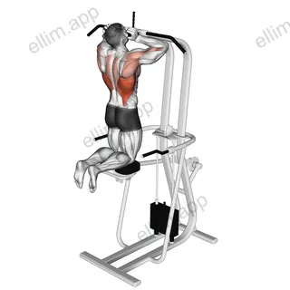 Assisted Parallel Close Grip Pull up exercise targeting Back