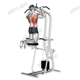 Assisted Pull up exercise targeting Back