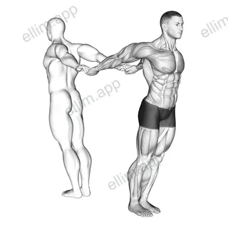 Assisted Pulling Backs Chest Stretch exercise targeting Chest