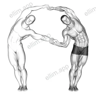 Assisted Side Bent exercise targeting 