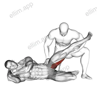 Assisted Side Lying Adductor Stretch exercise targeting Hips