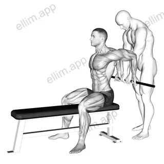 Assisted Sitting Reverse Shoulder Stretch exercise targeting Shoulders