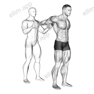 Assisted Standing Chest Stretch exercise targeting Chest