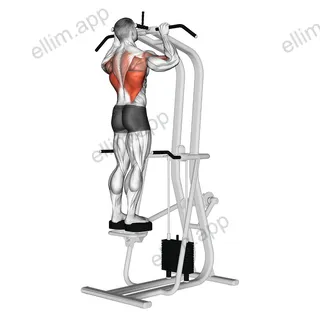 Assisted Standing Pull-up exercise targeting Back and Latissimus Dorsi