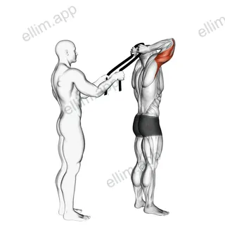 Assisted Standing Triceps Extension (with towel) exercise targeting Upper Arms and Triceps Brachii