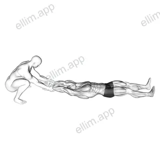 Assisted Straight Arms Lying Stretch exercise targeting Chest