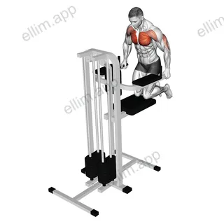 Assisted Wide Grip Chest Dip (kneeling) exercise targeting Chest