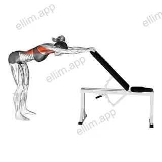 Back Pec Stretch exercise targeting Back and Latissimus Dorsi