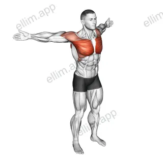 Back Slaps Wrap Arround Stretch exercise targeting Back and Infraspinatus