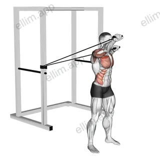 Band Alternate Incline Chest Press with Twist exercise targeting Chest and Pectoralis Major Clavicular Head