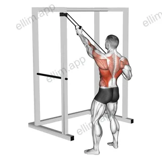 Band Alternate Lat Pulldown with Twist exercise targeting Back and Latissimus Dorsi