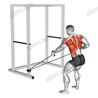 Band Alternate Low Row wtih Twist exercise targeting Back and Infraspinatus