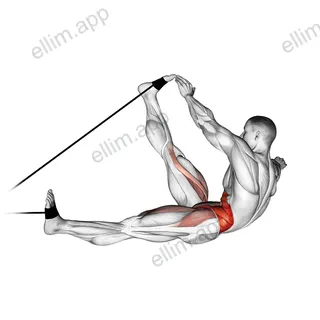 Band alternating v up exercise targeting Waist