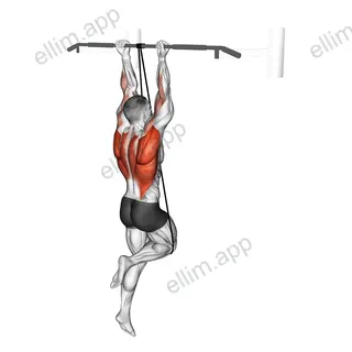 Band Assisted Chin-Up (From Knee) exercise targeting Back and Infraspinatus