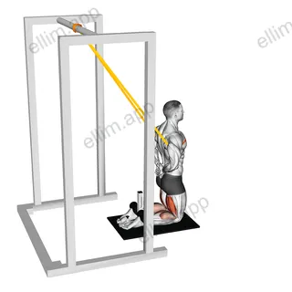 Band Assisted Floor Glute Ham Raise exercise targeting Thighs