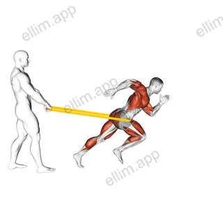 Band Assisted Sprinter Run exercise targeting Cardio