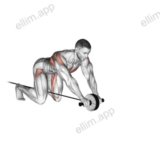 Band Assisted Wheel Rollout exercise targeting Waist and Iliopsoas