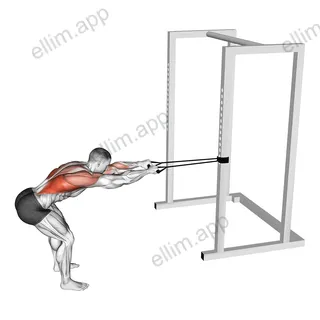Band Bent Over Lat Pulldown exercise targeting Back and Latissimus Dorsi