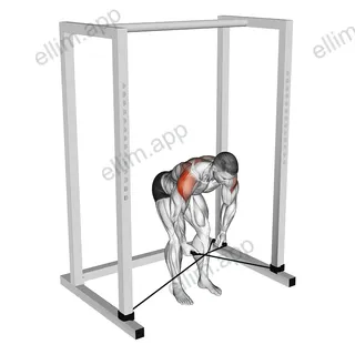 Band bent over rear lateral raise exercise targeting Shoulders