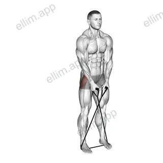 Band Cross Abduction exercise targeting Hips and Gluteus Medius