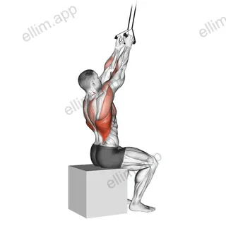 Band Fixed Back Close Grip Pulldown exercise targeting Back and Latissimus Dorsi