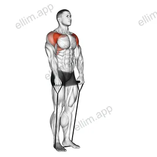 Band front raise exercise targeting Shoulders and Deltoid Anterior