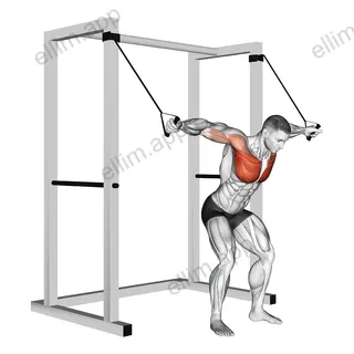 Band high fly exercise targeting Chest and Pectoralis Major Clavicular Head
