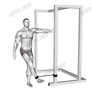 Band hip abduction exercise targeting Hips